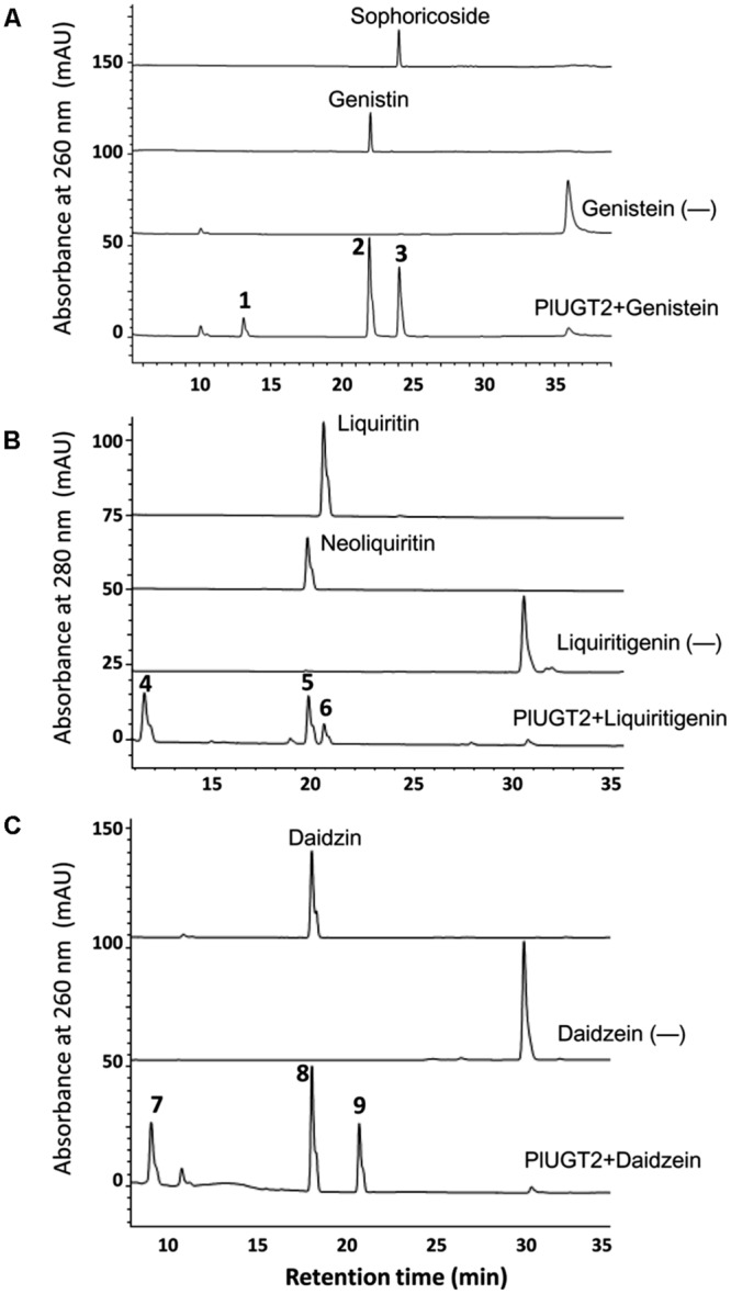 FIGURE 4