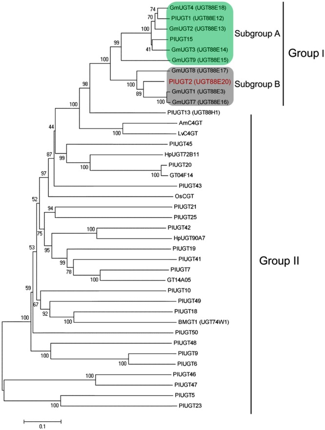 FIGURE 3