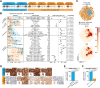Figure 3. Pretreatment tumor MHC I expression is associated with complete tumor response to IL2. A, Grouping of untreated (UT) lesions from extreme responder and non-/mixed responder patients (labeled “non-responder” throughout figures). B, Shown are cell fractions (rows) with significant differences in untreated lesions from extreme responders (n = 38 FOV) versus non-/mixed responders (n = 74 FOVs). Left, fractions in each FOV, with overall median, minimum, and maximum (each point represents an FOV). The forest plot shows effect size (odds ratio) and 95% CI of each cell fraction with P-adjusted noted (two-sided Wilcoxon test adjusted by Bonferroni correction). See also Supplementary Table S10. See Supplementary Table S3 for full cell type names. C, t-SNE of untreated lesion tumor cells colored by patient response and normalized intensity of MHC I and B2M. D, MHC I IHC of untreated lesions (scale bar, 50 μm). E and F, Bar graphs showing the percentage of untreated lesions with expression of membranous MHC I in greater than 75% of tumor cells in the initial cohort (E; extreme responder, n = 4; nonresponder, n = 5) and in the validation cohort (F; CR, complete responder, n = 6; non-CR, noncomplete responder, n = 13) based on IHC staining (Fisher exact test, two-sided, exact P value noted).