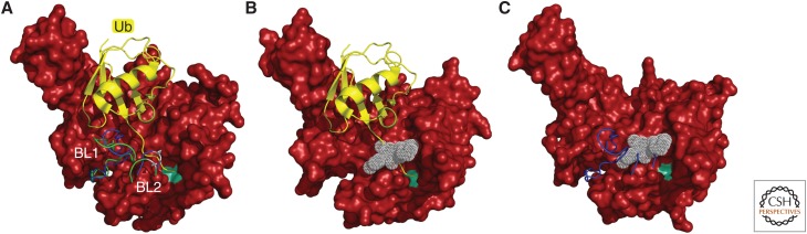 Figure 6.