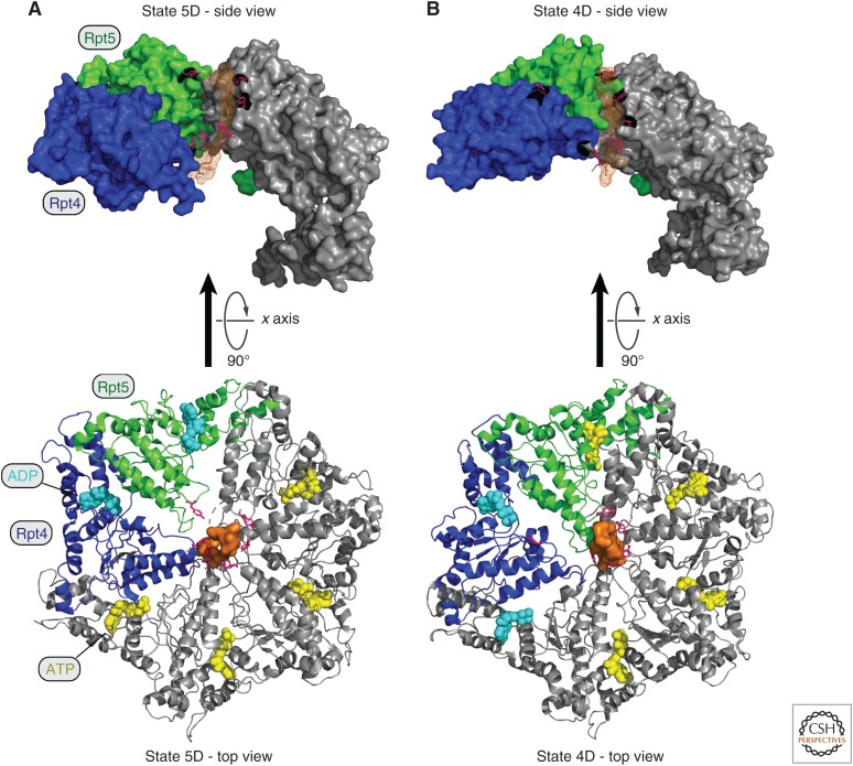 Figure 4.