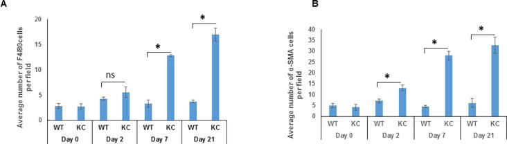 Supplementary Fig. 4