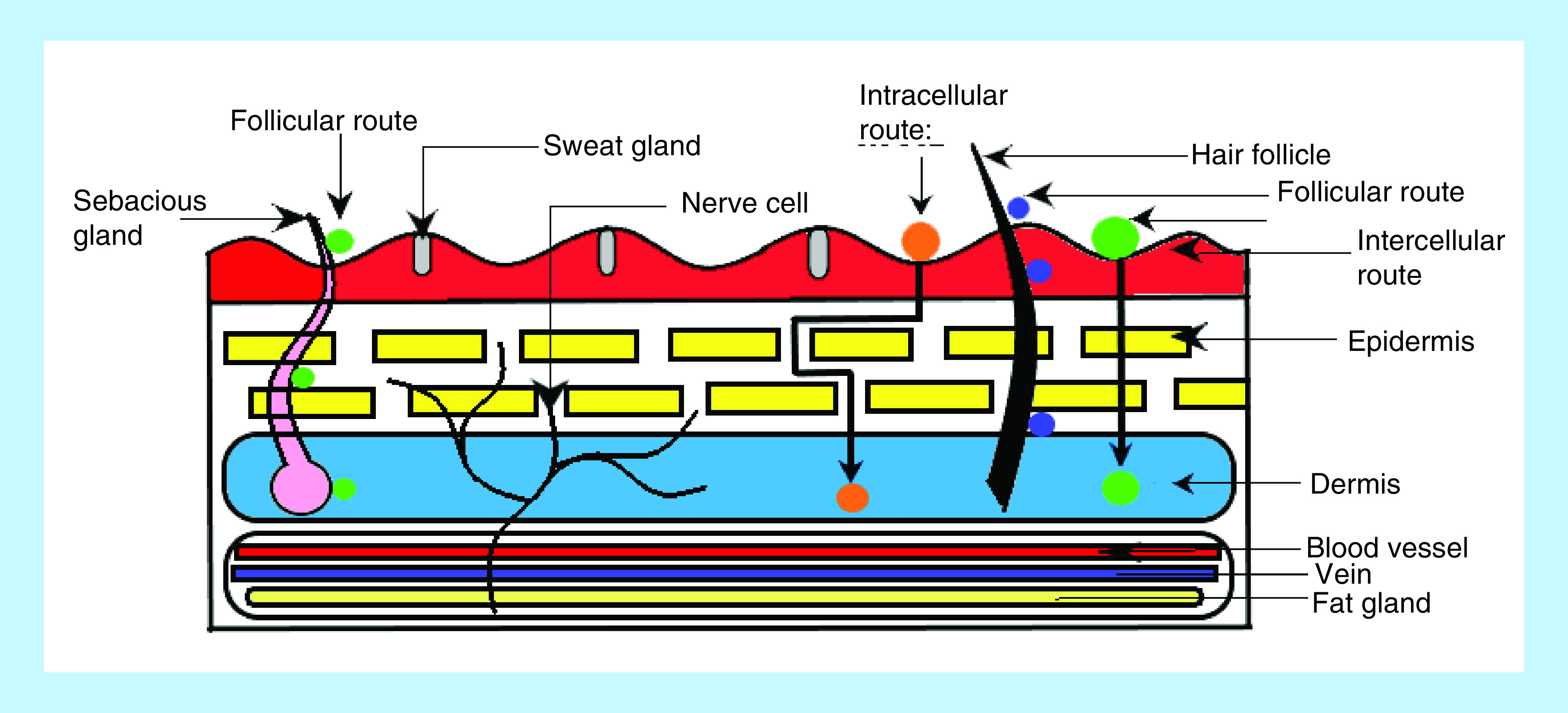 Figure 2. 