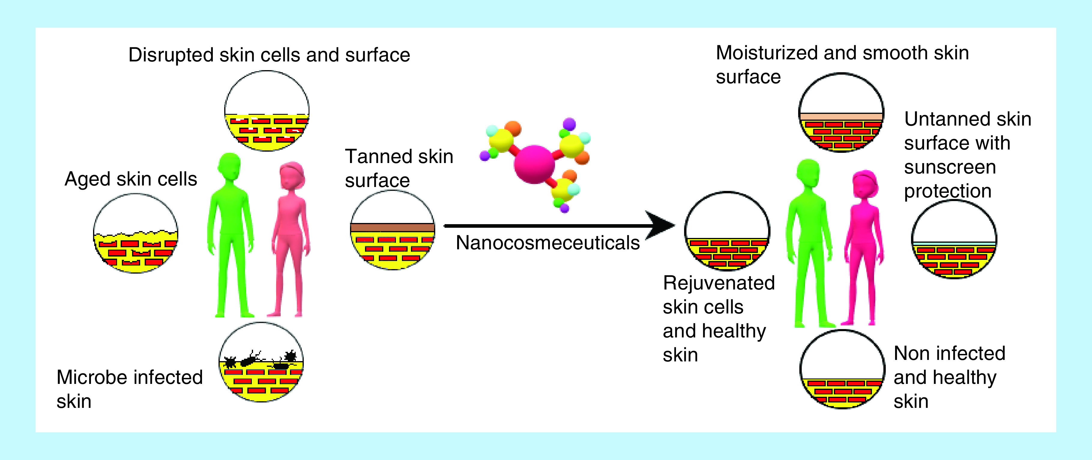 Figure 4. 