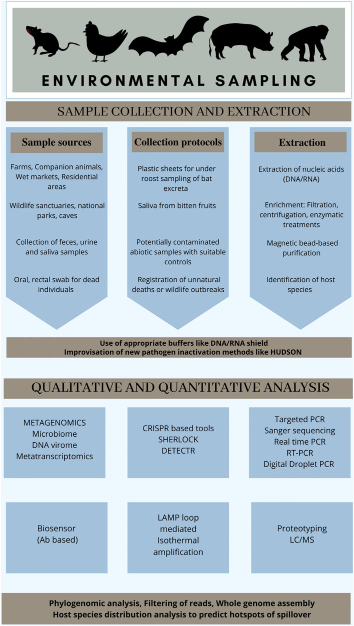 Figure 2: