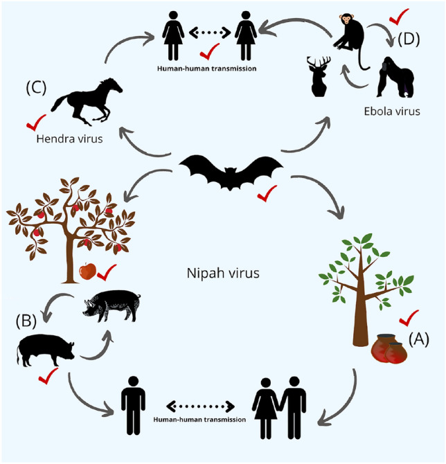 Figure 1: