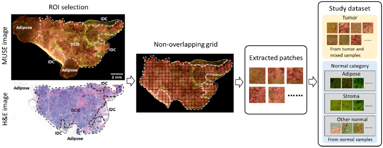 Fig. 2.