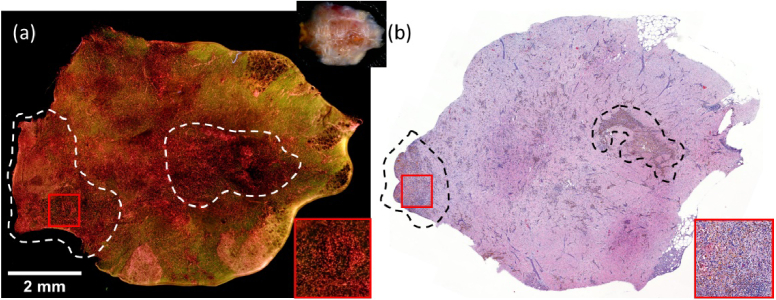 Fig. 9.