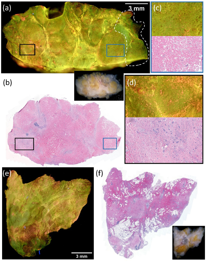 Fig. 8.