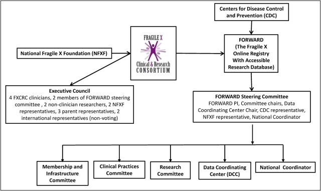 FIGURE 2. Administrative structure of the FXCRC and the FORWARD longitudinal study.