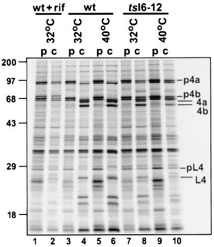 FIG. 5.