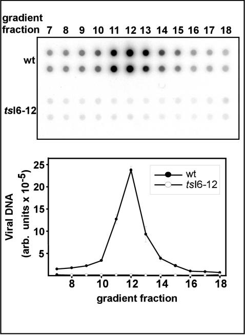 FIG. 9.