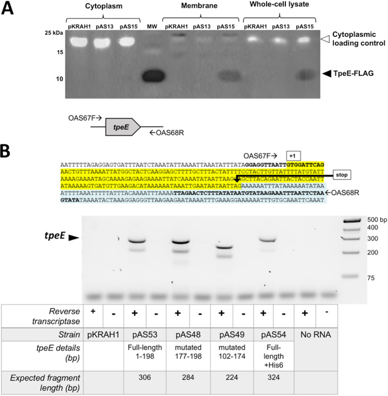 FIG 5