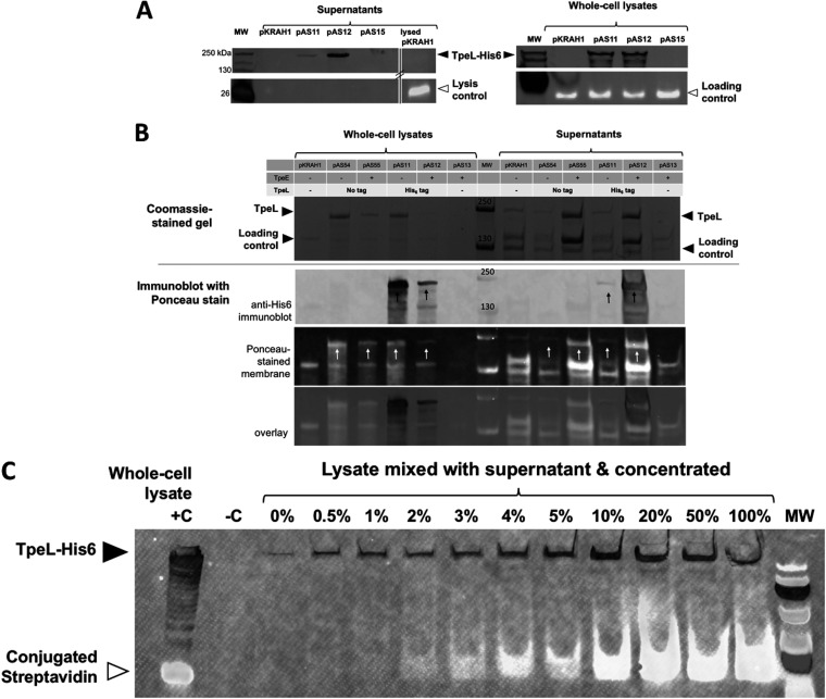 FIG 3