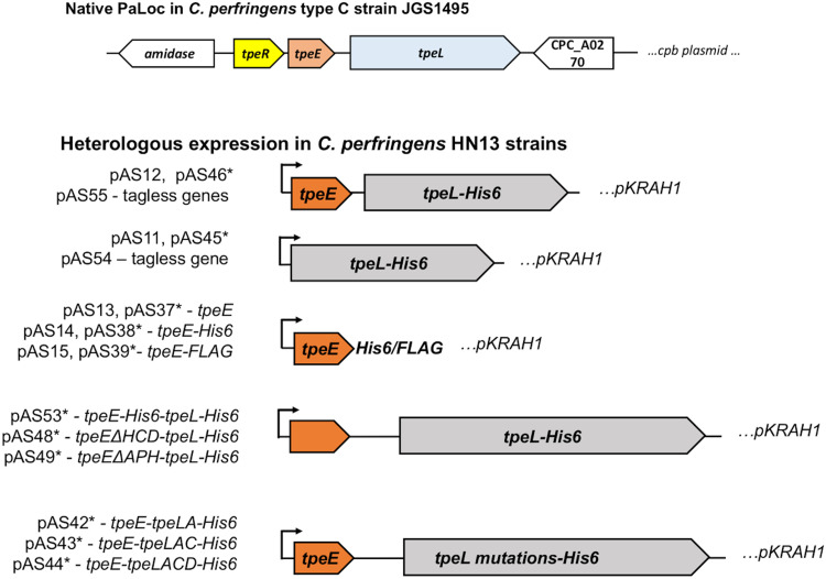 FIG 2