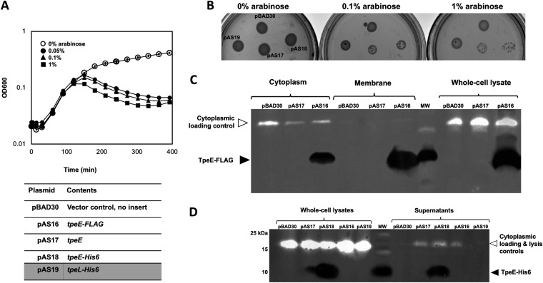 FIG 6