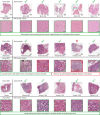 Extended Data Fig. 4