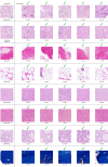 Extended Data Fig. 9