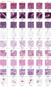 Extended Data Fig. 6