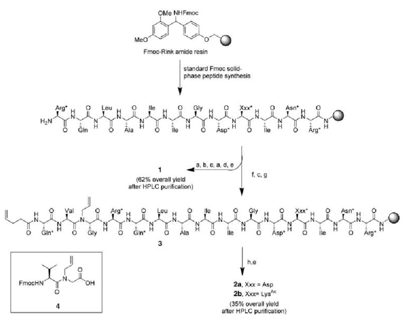 Scheme 1