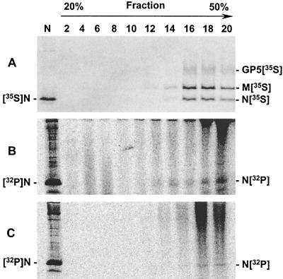 FIG. 6.