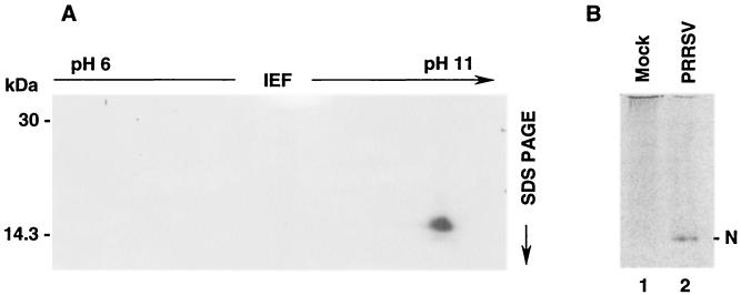 FIG. 5.