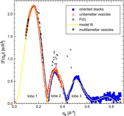 FIGURE 1 