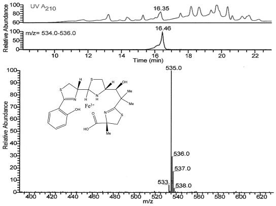 FIG. 2.