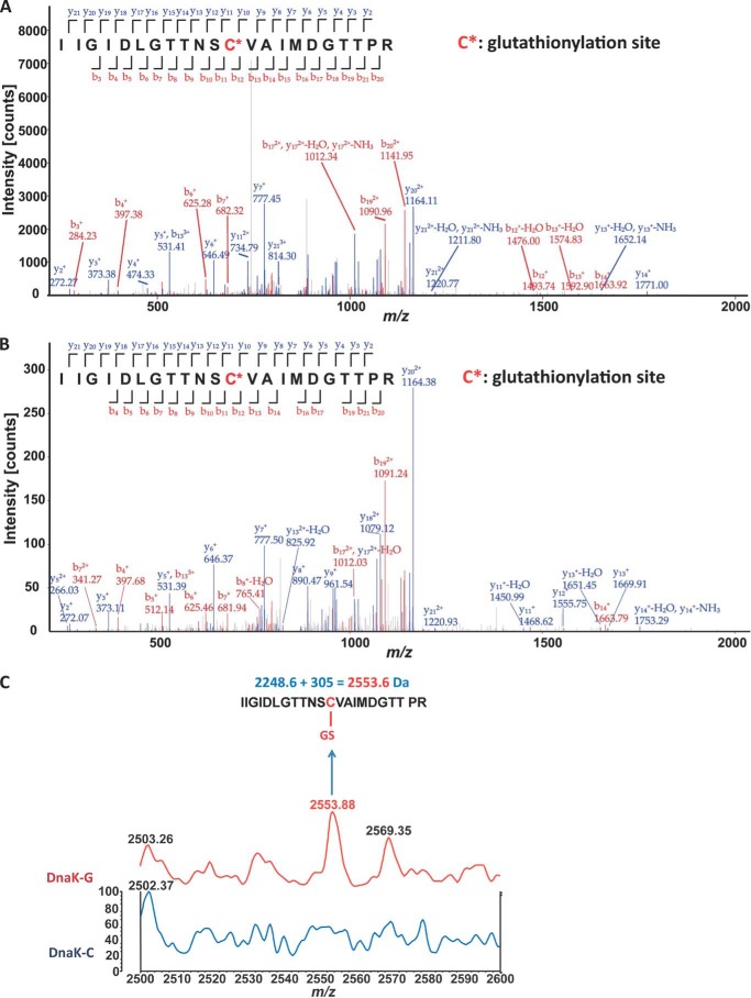 FIGURE 2.