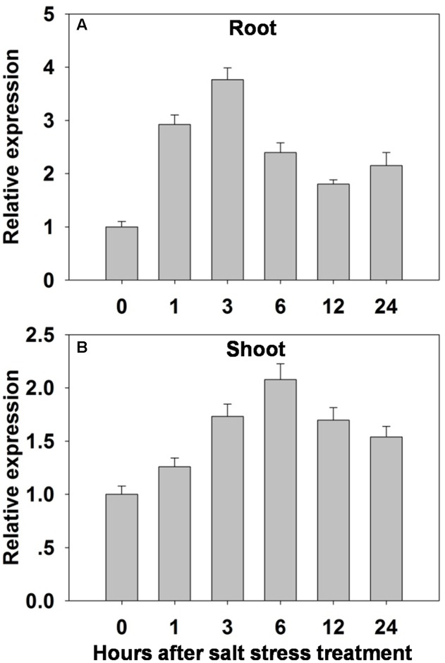 FIGURE 3