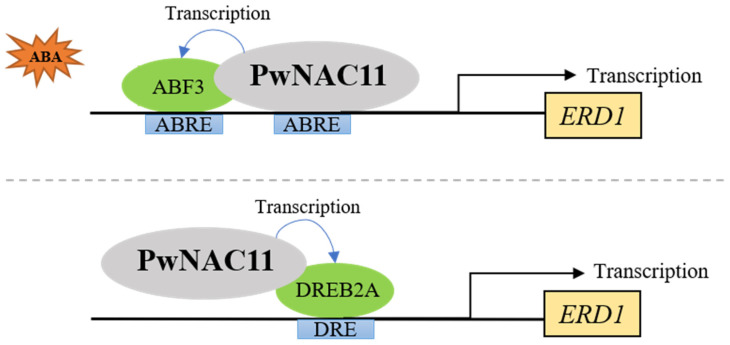 Figure 9