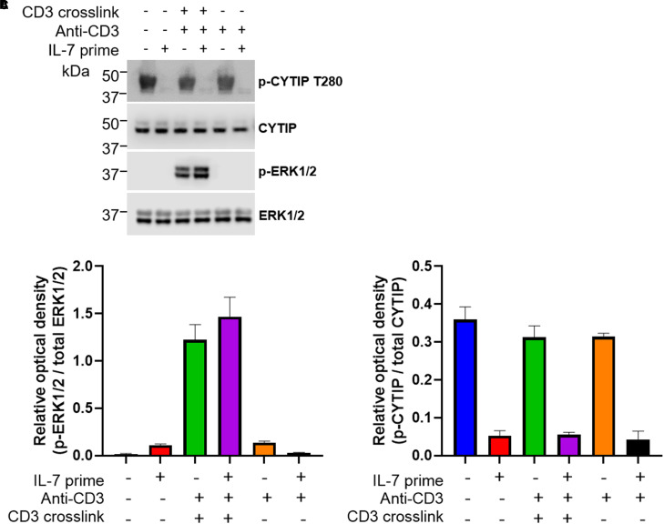 Figure 2.