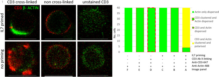 Figure 6.