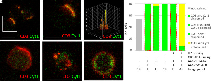 Figure 4.