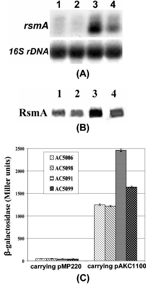 FIG. 5.