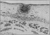 104