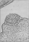 103