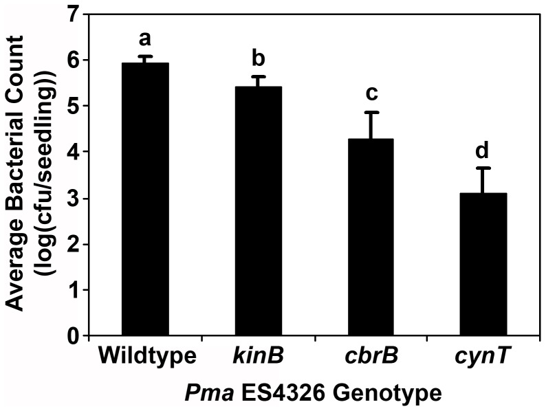 Figure 4