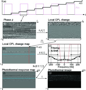 Fig. 3