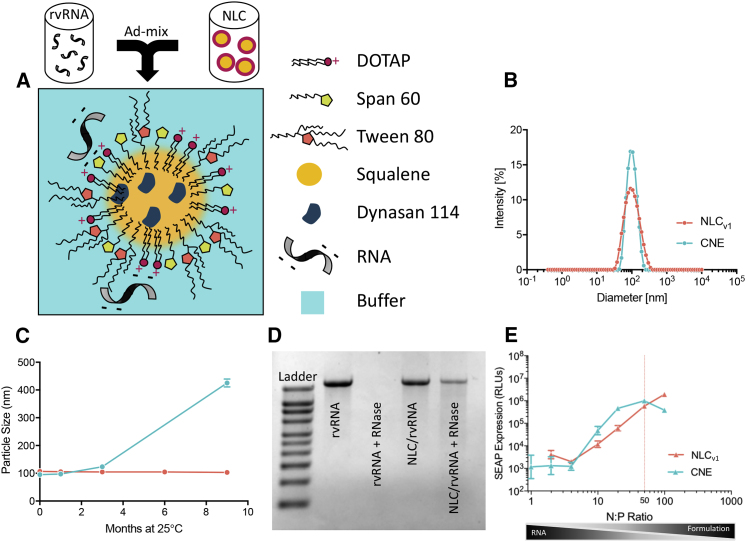 Figure 2