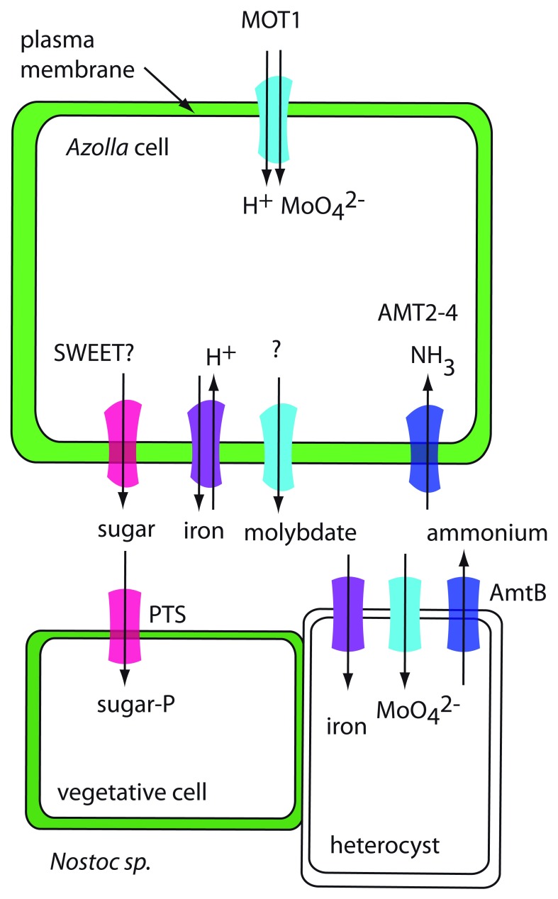 Figure 2. 