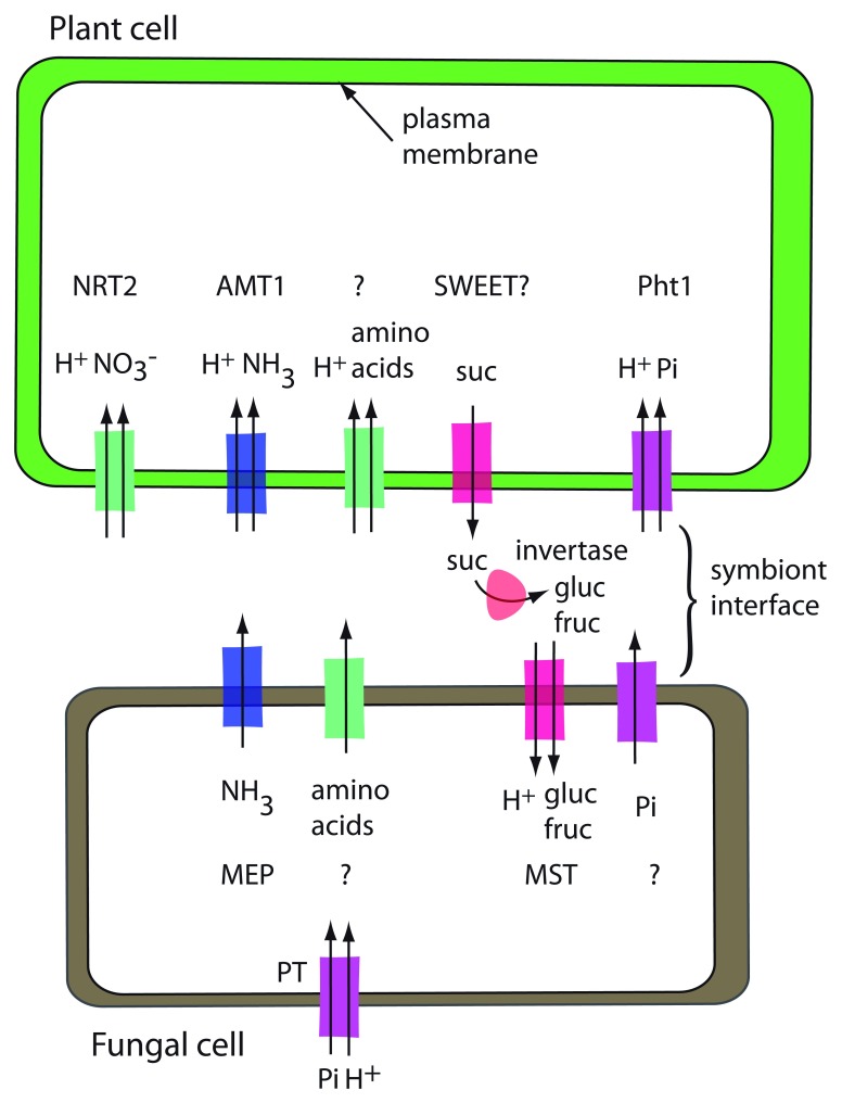 Figure 3. 