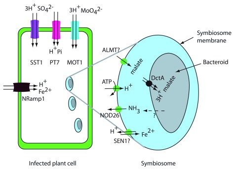 Figure 5. 