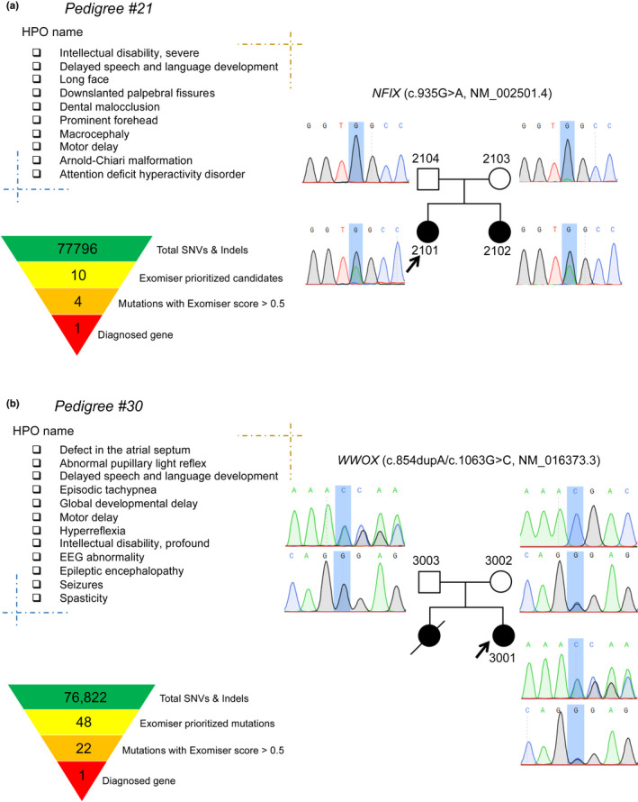 FIGURE 4