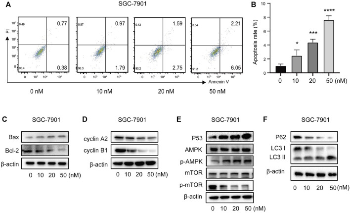 FIGURE 11