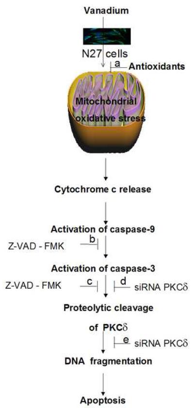 Fig. 10