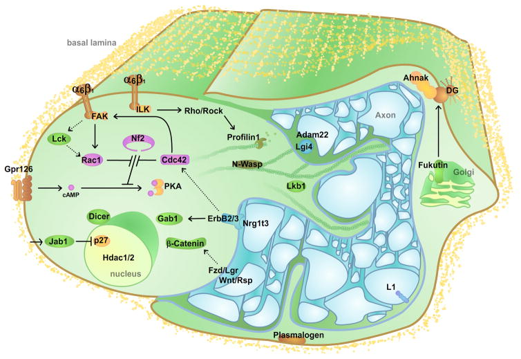 Figure 5