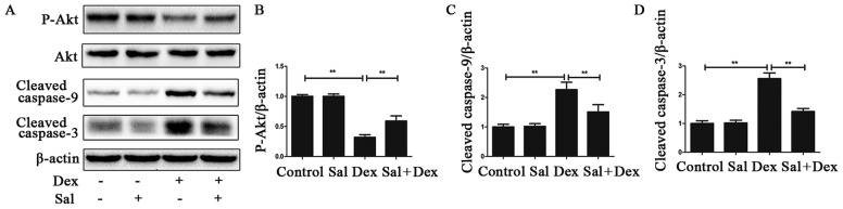 Figure 3.