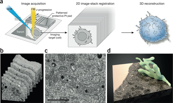 Figure 1 |