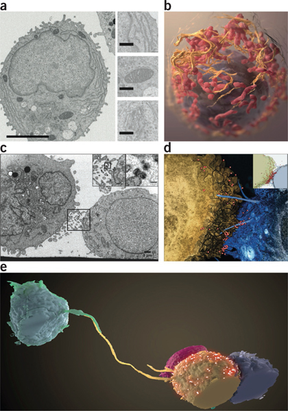 Figure 2 |